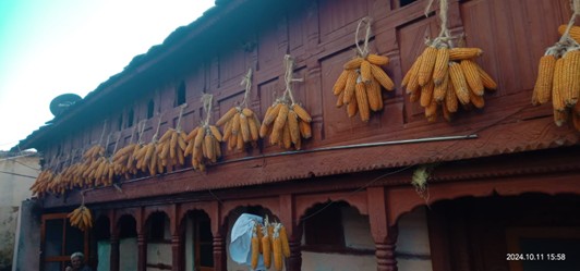 घर के बाहरी हिस्से में लटकाई बीज की मक्की